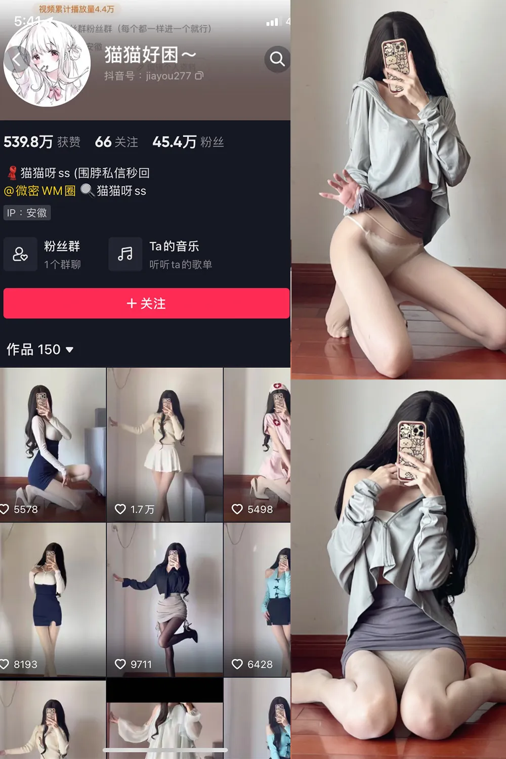 猫猫好困 写真合集（持续更新） - 图片 1