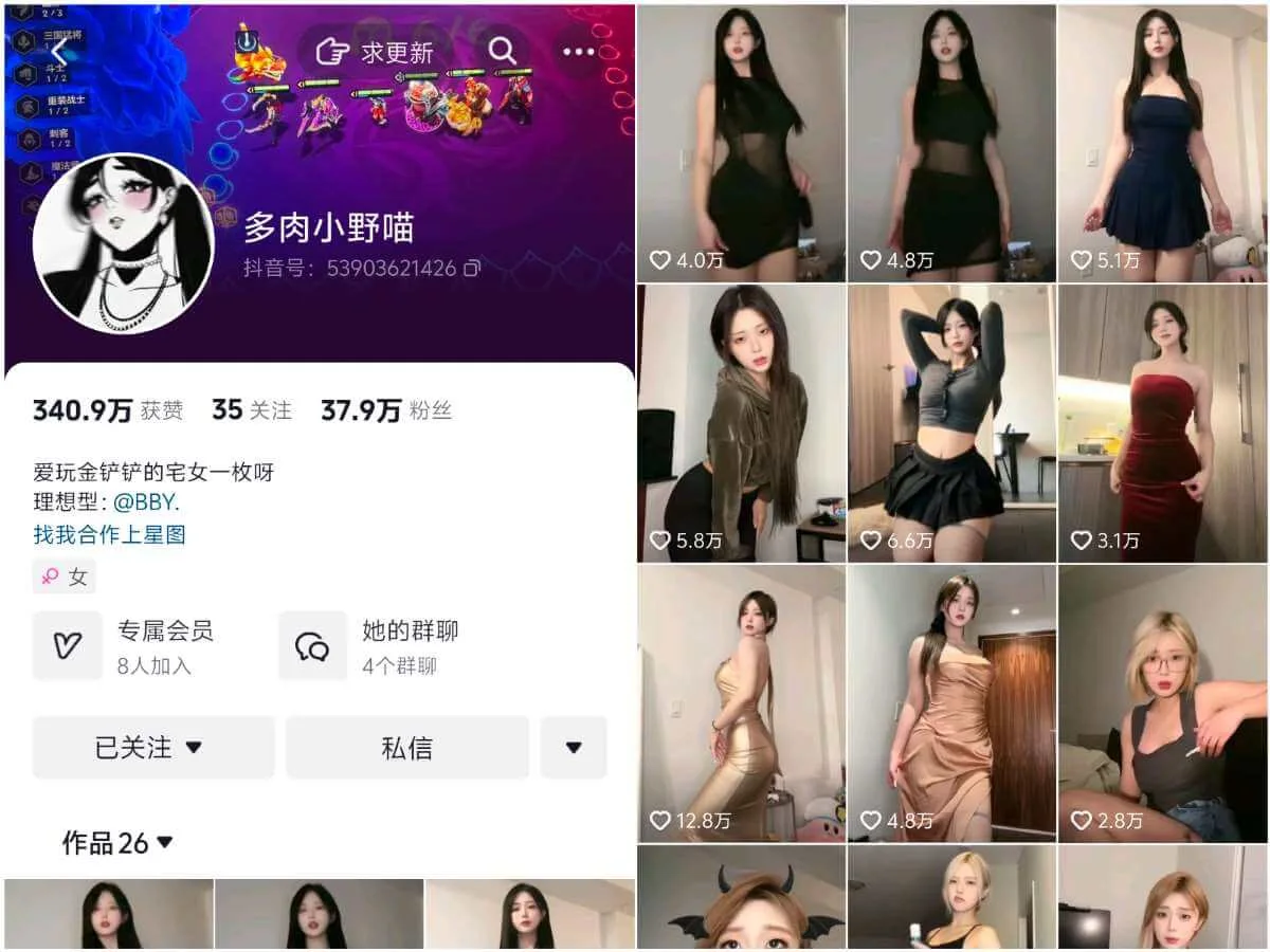 多肉小野猫 写真合集(持续更新) - 图片 1 多肉小野猫 写真合集(持续更新) - 图片 1